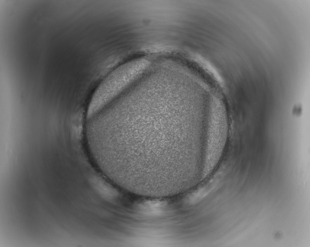 X0000102350065200808151800