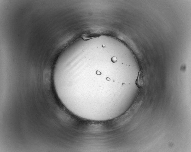 X0000102350066200808151800