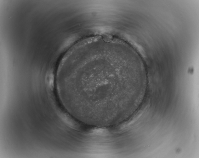 X0000102350067200808151800