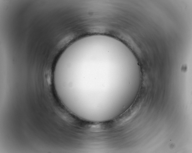 X0000102350068200808151800