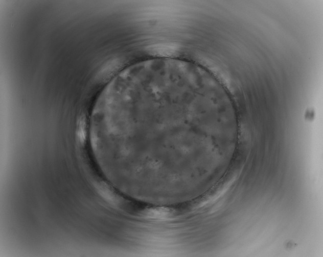 X0000102350069200808151800