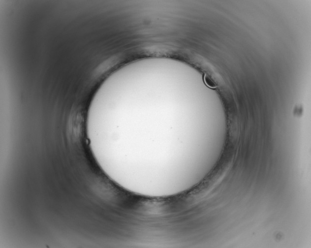 X0000102350071200808151800