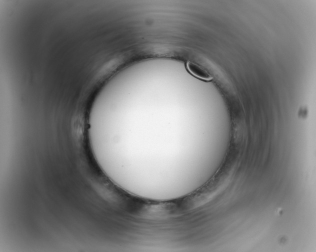 X0000102350072200808151800