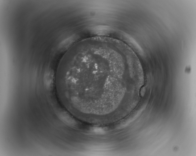 X0000102350073200808151800