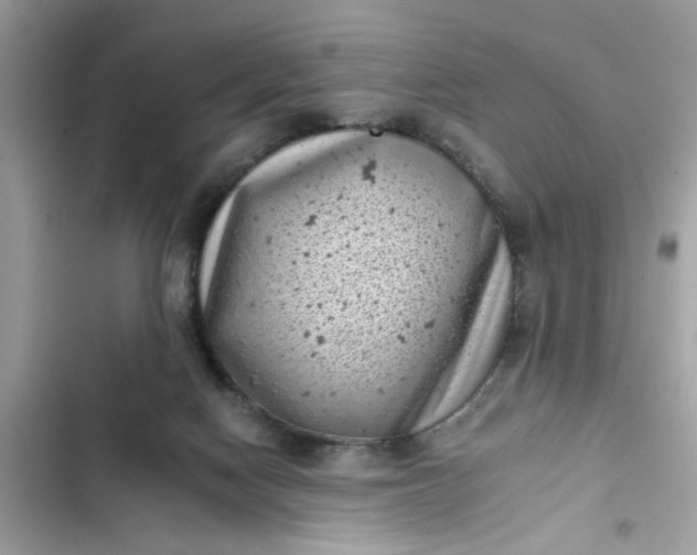 X0000102350074200808151800