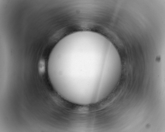 X0000102350075200808151800