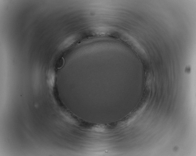 X0000102350076200808151800