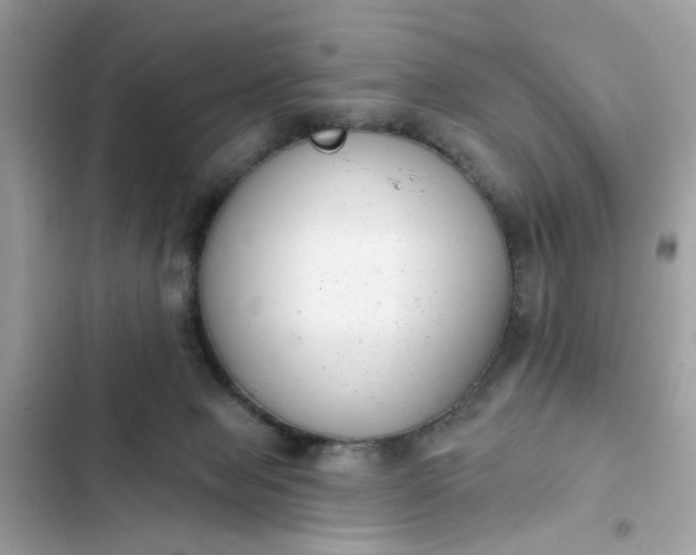 X0000102350077200808151800