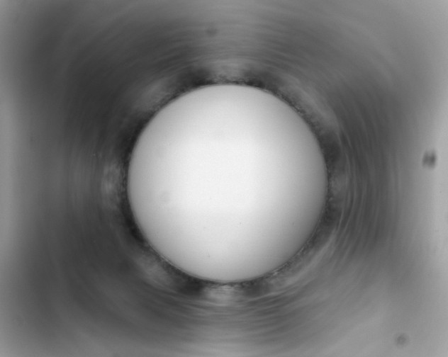 X0000102350079200808151800