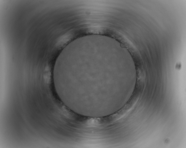 X0000102350080200808151800