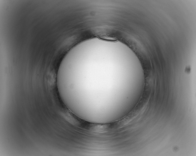 X0000102350081200808151800