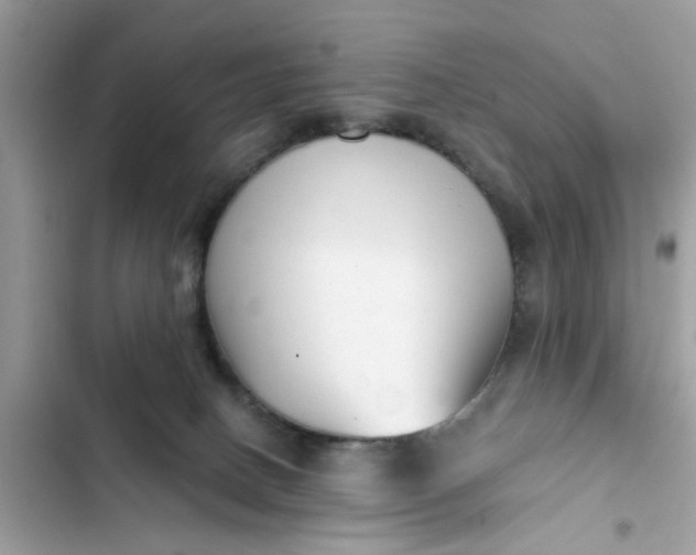 X0000102350082200808151800