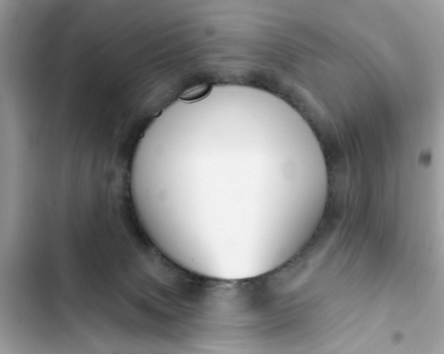 X0000102350083200808151800