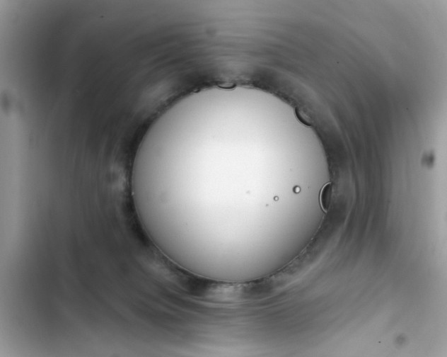 X0000102350084200808151800