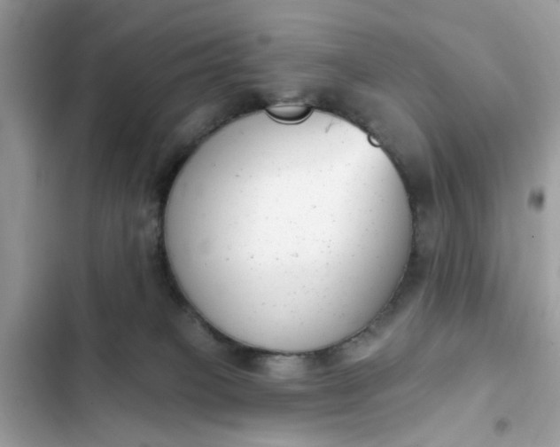 X0000102350085200808151800