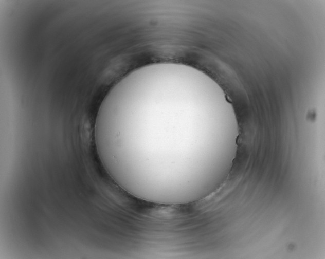 X0000102350086200808151800