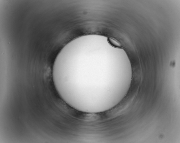 X0000102350087200808151800