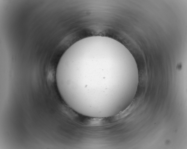 X0000102350090200808151800