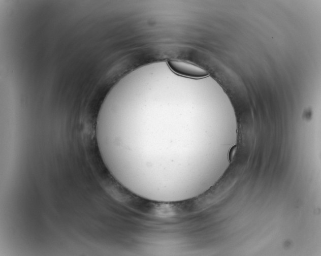 X0000102350091200808151800