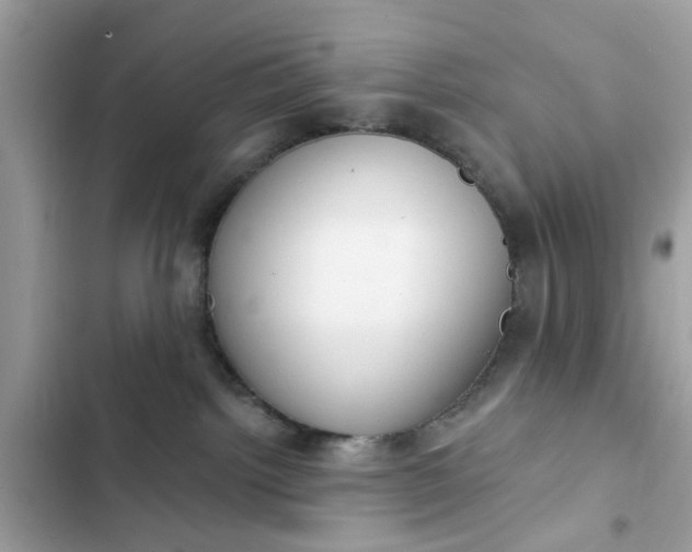 X0000102350092200808151800