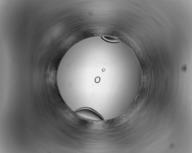 X0000102350093200808151800