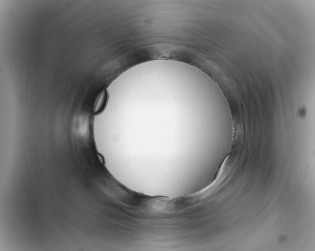 X0000102350094200808151800