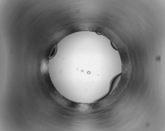 X0000102350095200808151800