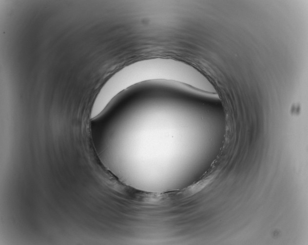 X0000102350096200808151800