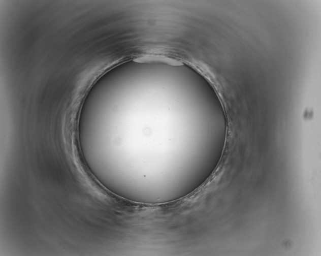 X0000102350097200808151759