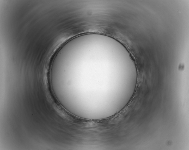 X0000102350098200808151759