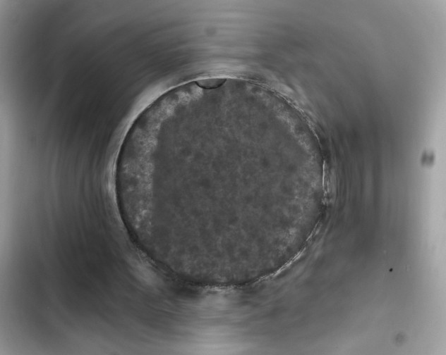 X0000102350099200808151759