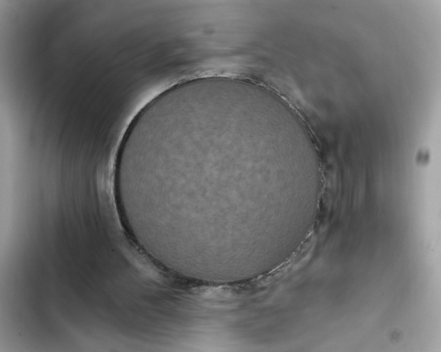 X0000102350100200808151759