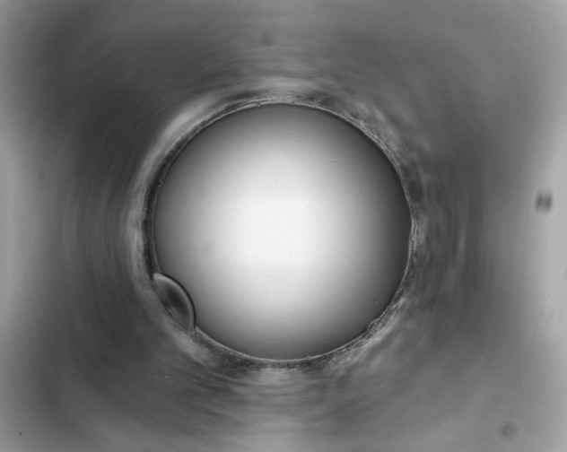 X0000102350101200808151759