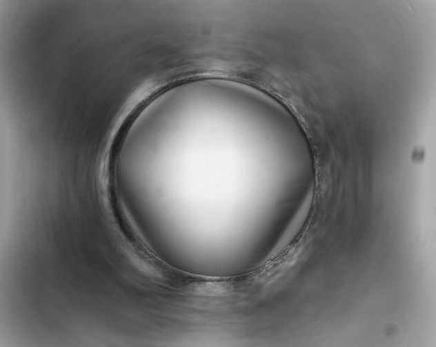 X0000102350102200808151759