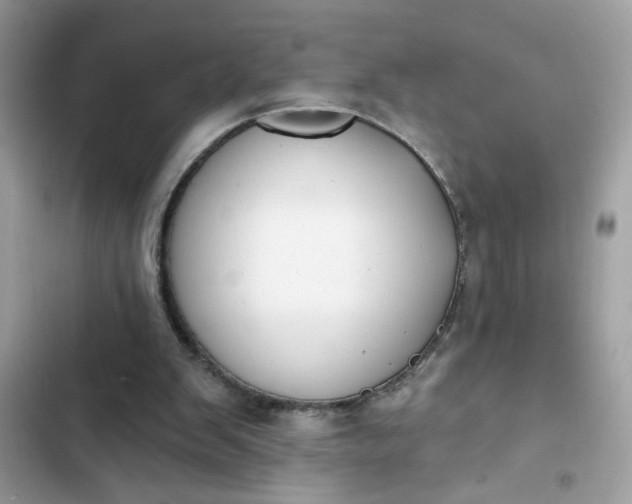 X0000102350103200808151759