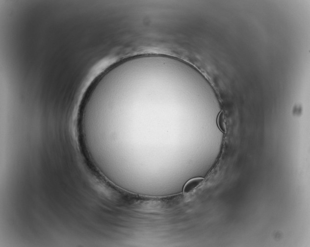 X0000102350104200808151759