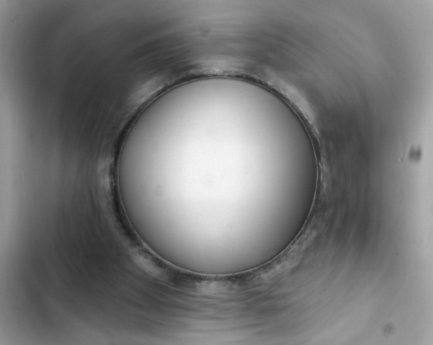 X0000102350105200808151759