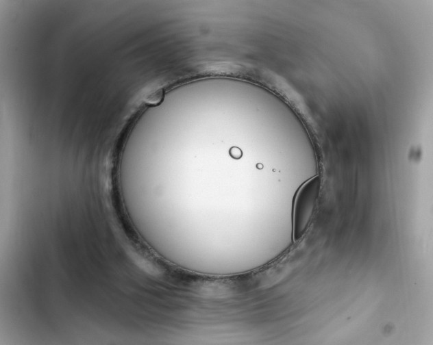 X0000102350106200808151759