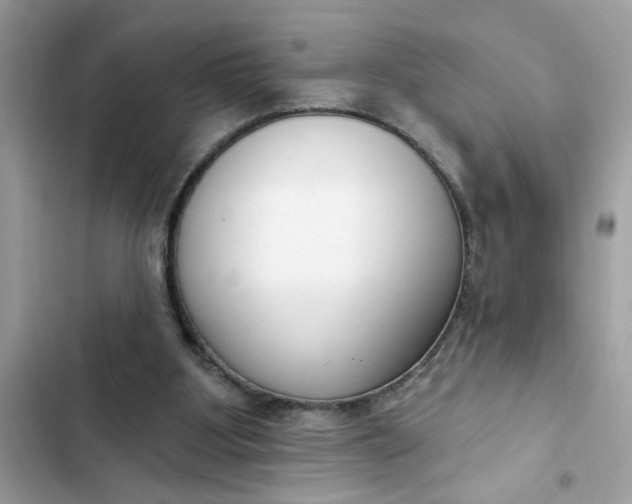 X0000102350107200808151759