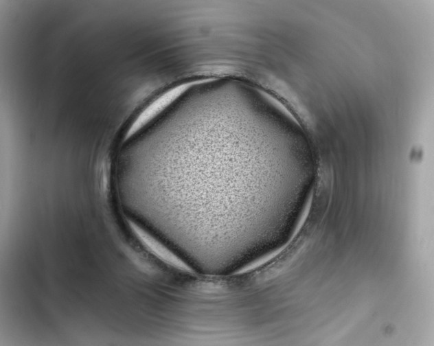 X0000102350110200808151759