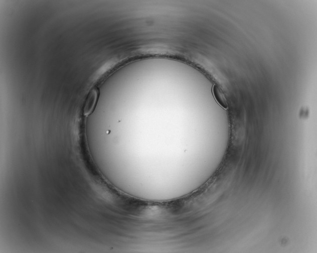 X0000102350111200808151759