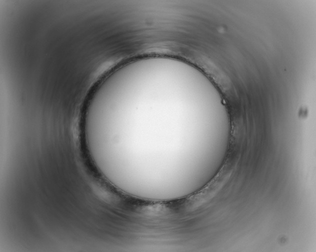 X0000102350112200808151759