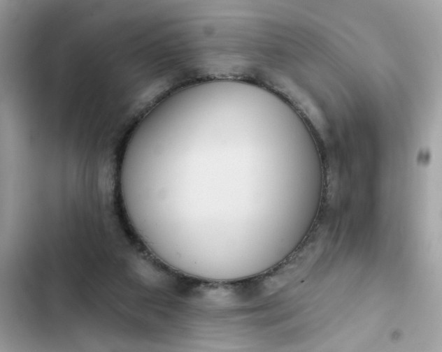 X0000102350113200808151759