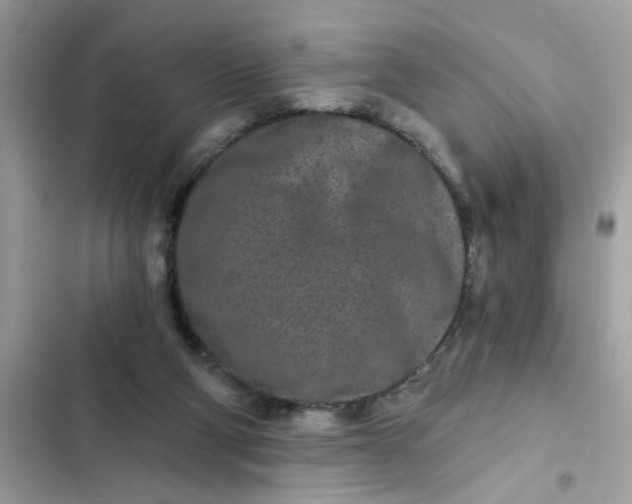 X0000102350114200808151759