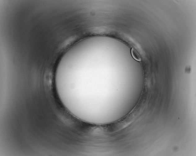 X0000102350115200808151759