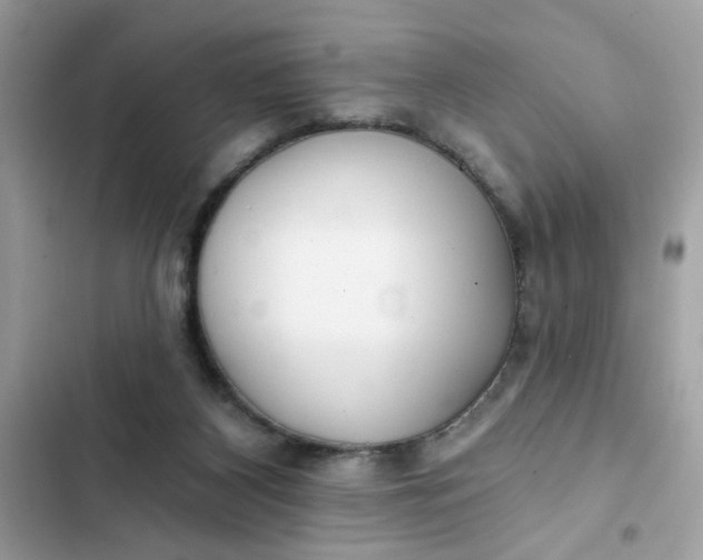 X0000102350116200808151759