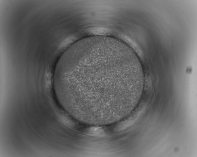 X0000102350117200808151759