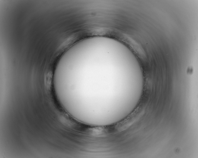 X0000102350118200808151759