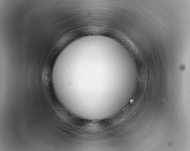 X0000102350119200808151759