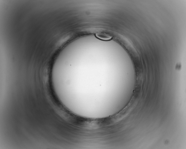 X0000102350120200808151759